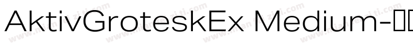 AktivGroteskEx Medium字体转换